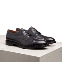 Herren-Schuhe & Accessoires für Anspruchsvolle Herren | LLOYD Shoes