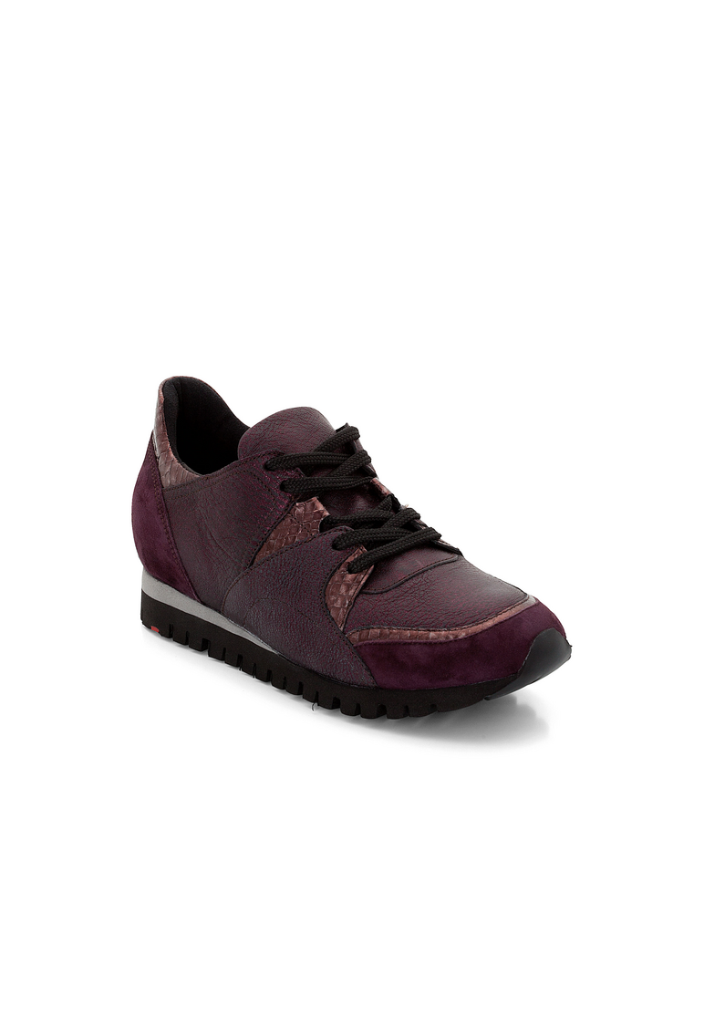 SNEAKER SNEAKER