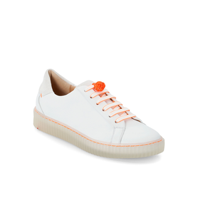 SNEAKER SNEAKER