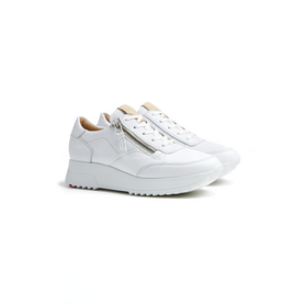 Sneaker Sneaker