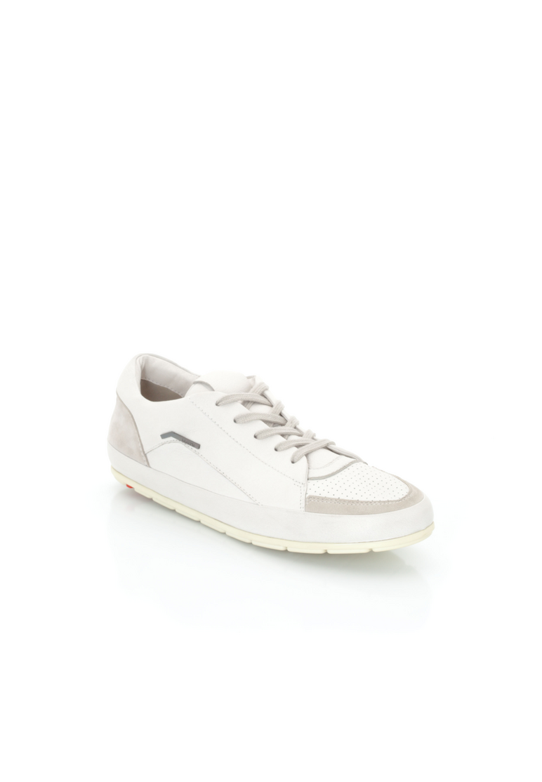 SNEAKER SNEAKER
