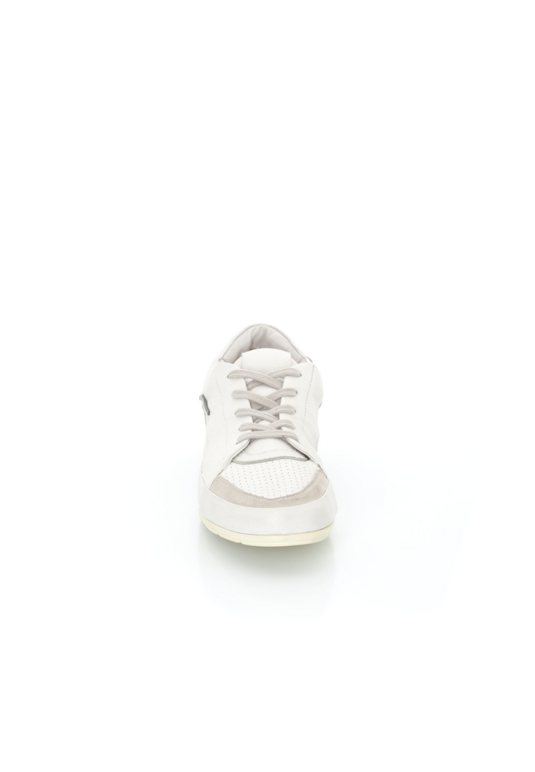 SNEAKER SNEAKER