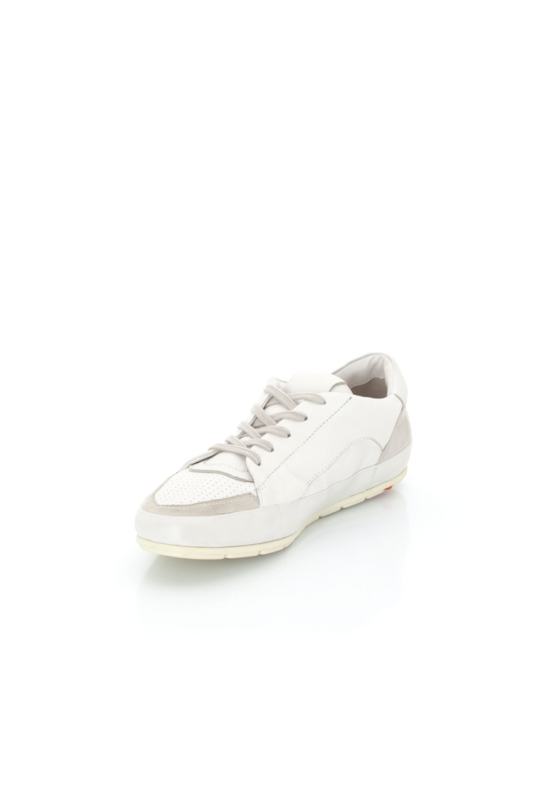 SNEAKER SNEAKER