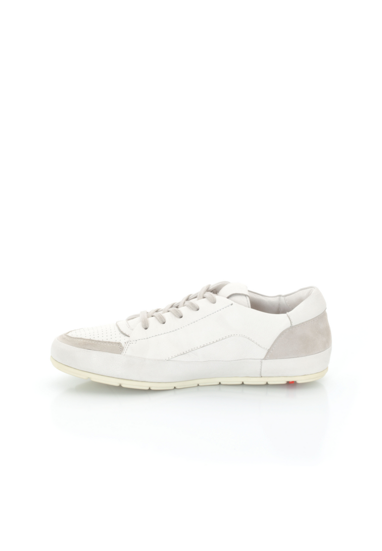 SNEAKER SNEAKER