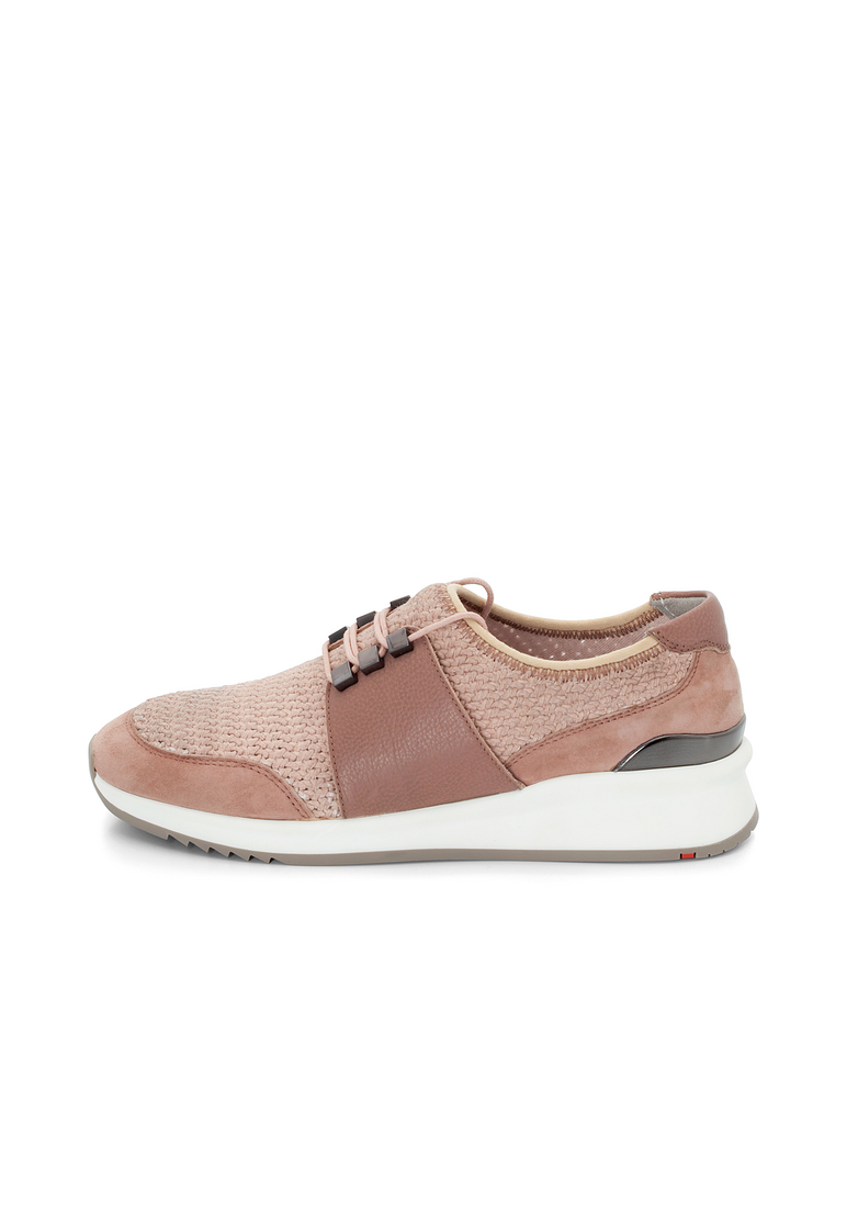 SNEAKER SNEAKER