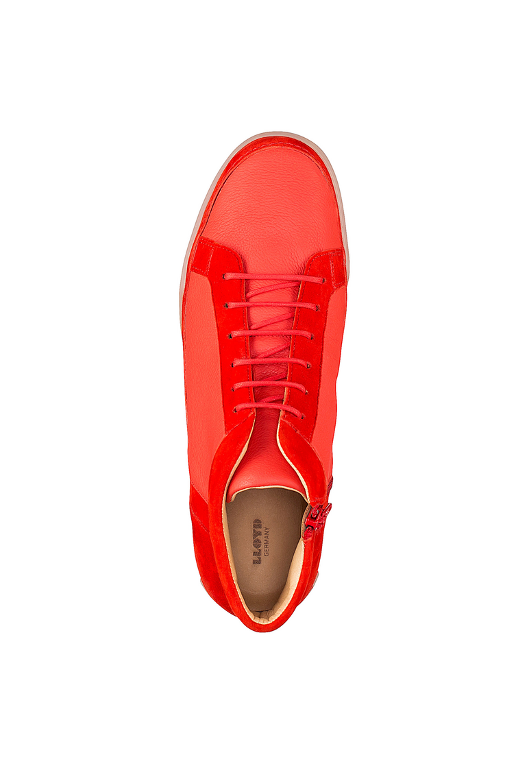 SNEAKER SNEAKER