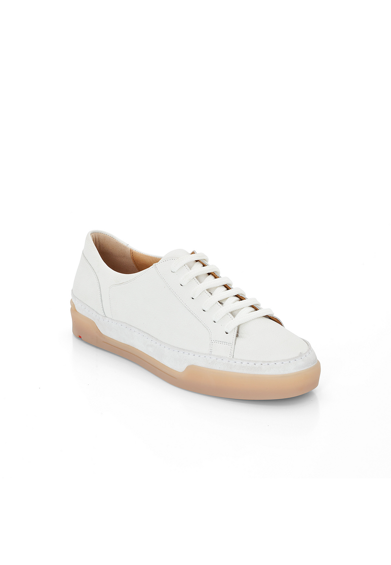 SNEAKER SNEAKER