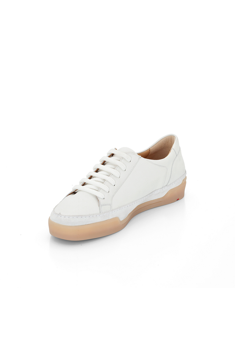 SNEAKER SNEAKER