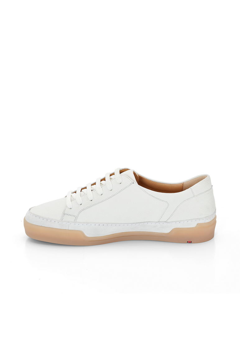 SNEAKER SNEAKER