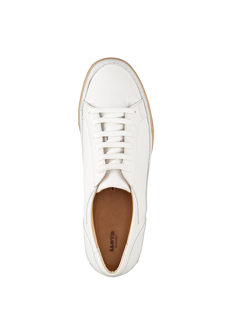 SNEAKER SNEAKER