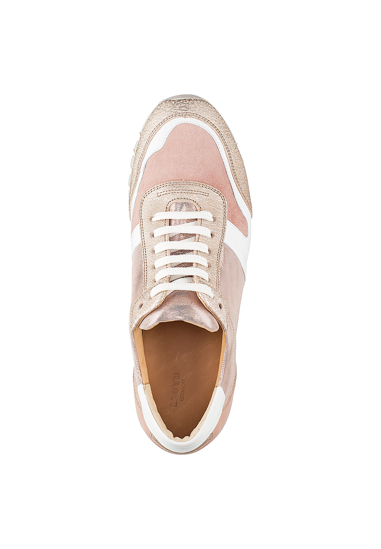 SNEAKER SNEAKER