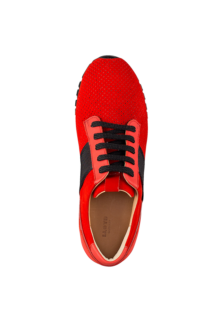 SNEAKER SNEAKER