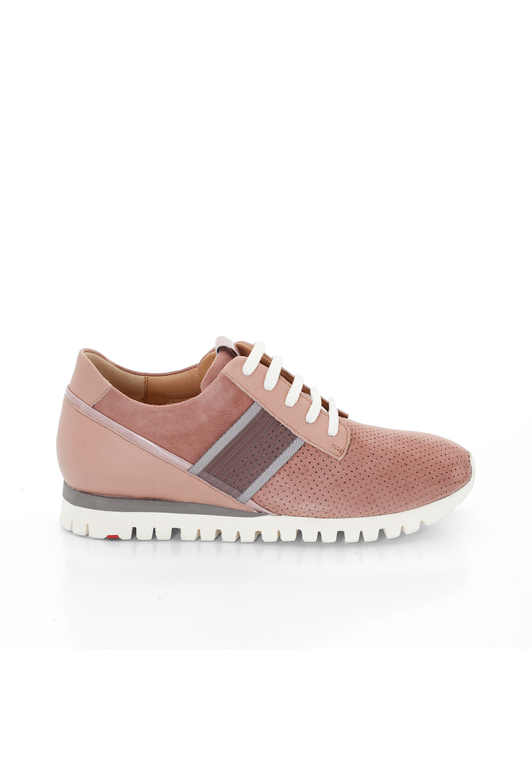SNEAKER SNEAKER