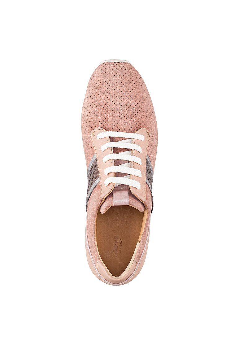 SNEAKER SNEAKER