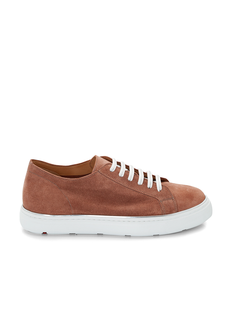 SNEAKER SNEAKER
