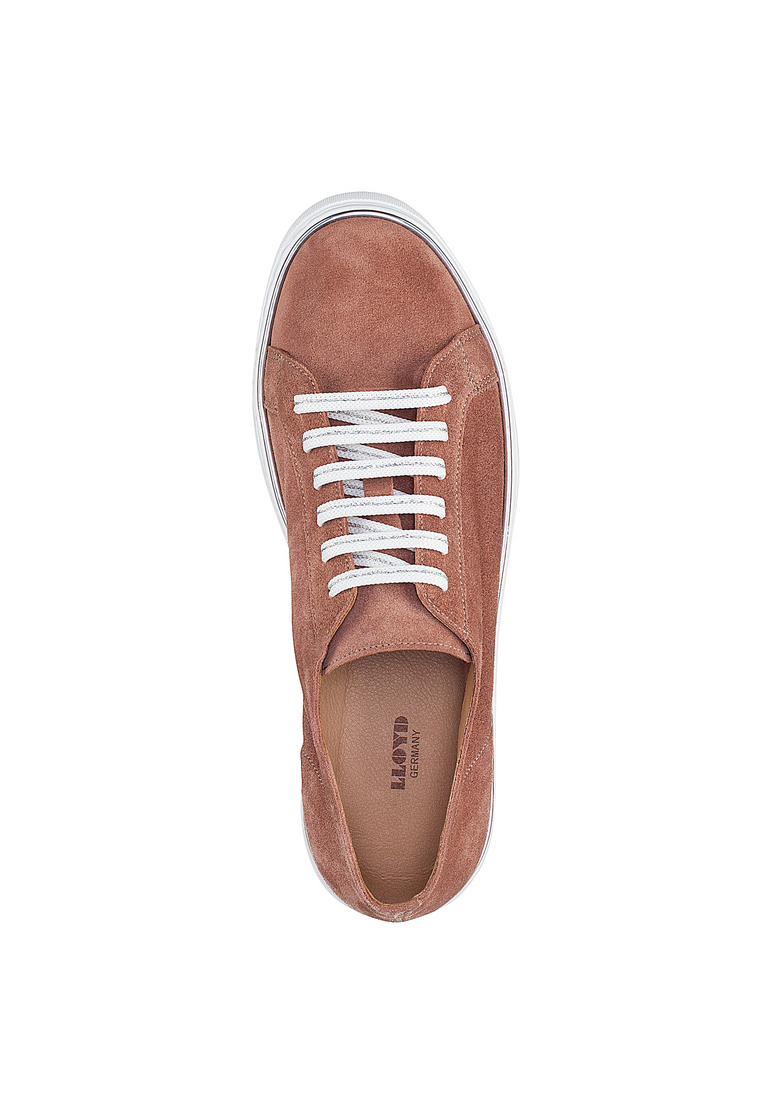 SNEAKER SNEAKER