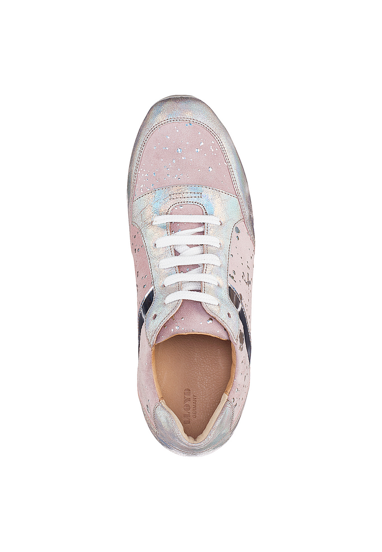 SNEAKER SNEAKER