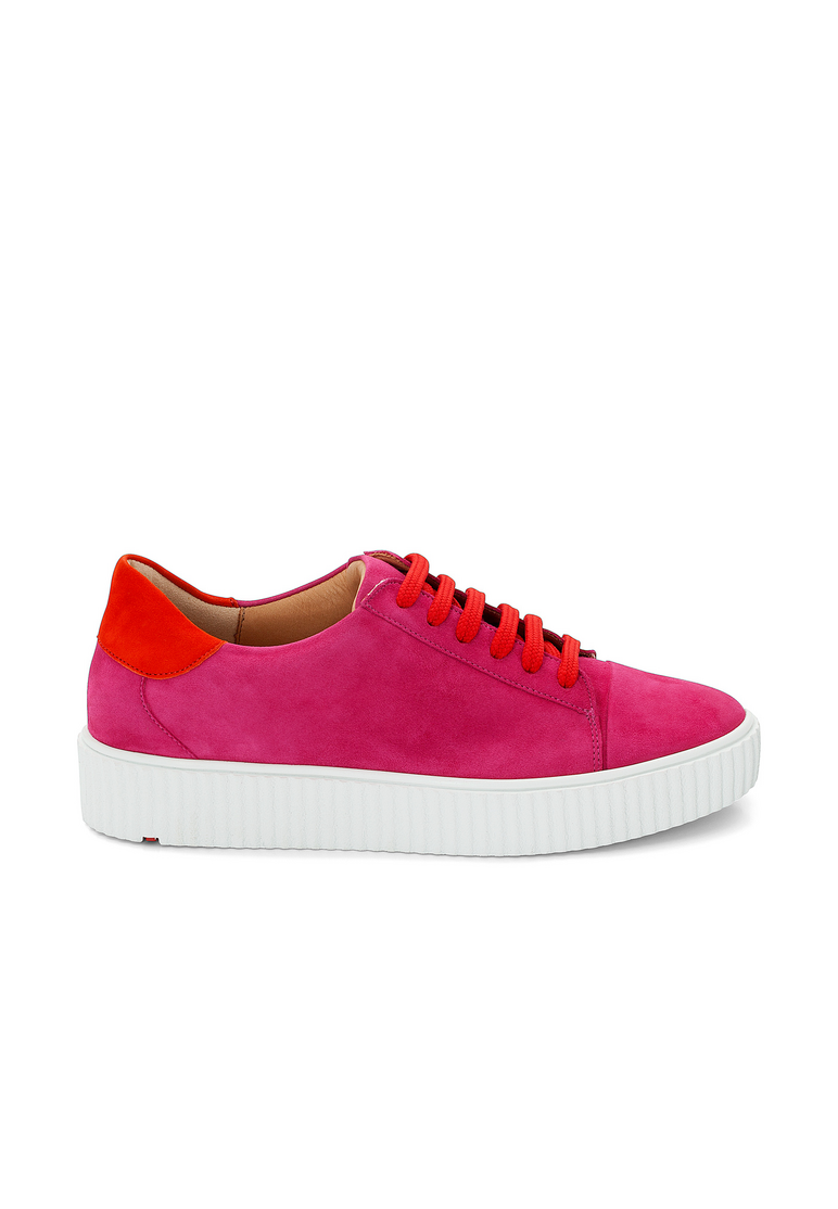 SNEAKER SNEAKER