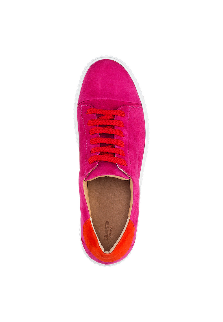 SNEAKER SNEAKER