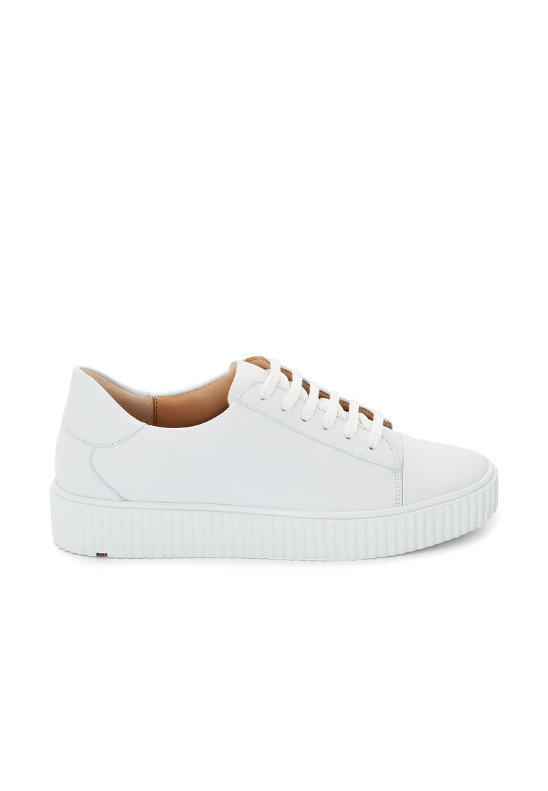 SNEAKER SNEAKER