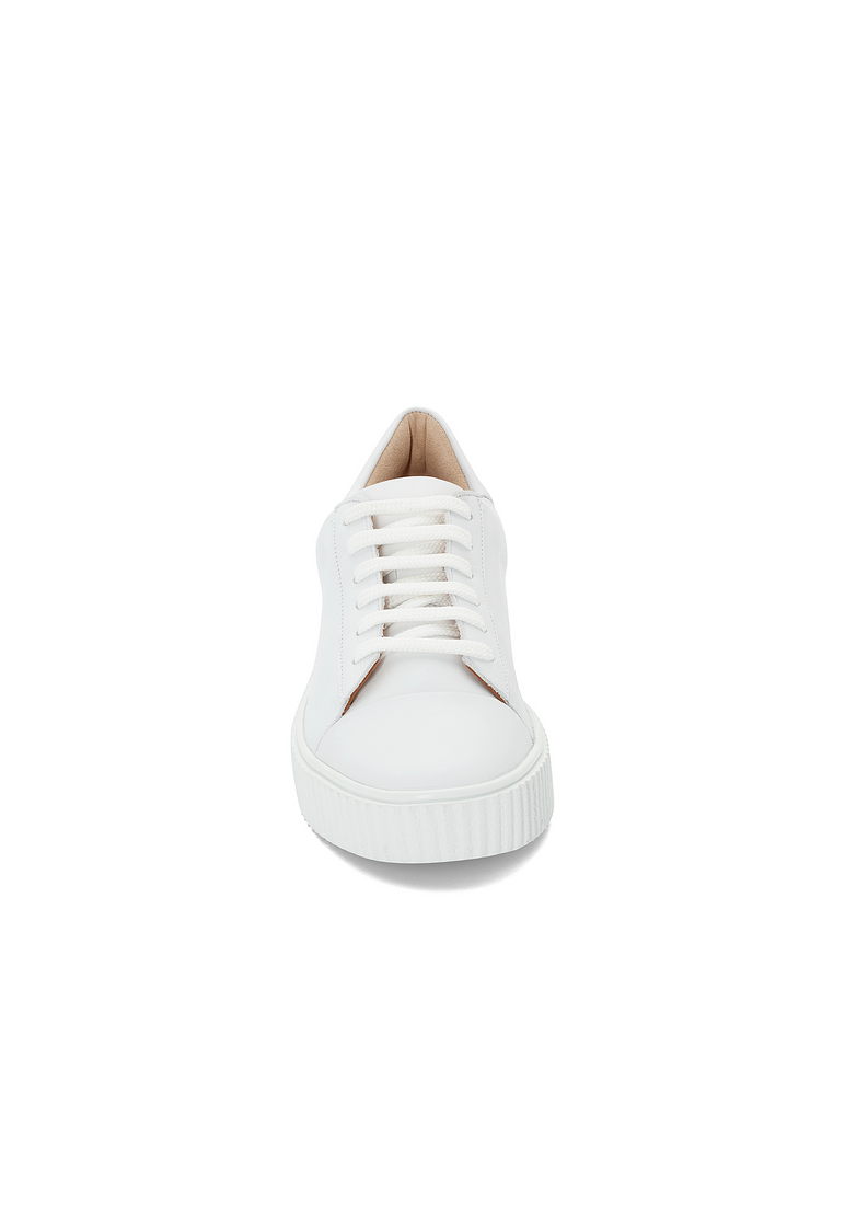 SNEAKER SNEAKER