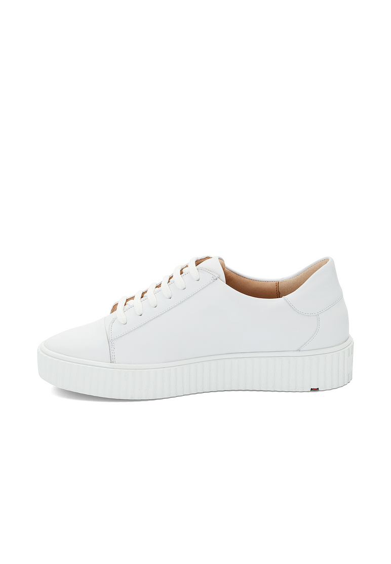 SNEAKER SNEAKER