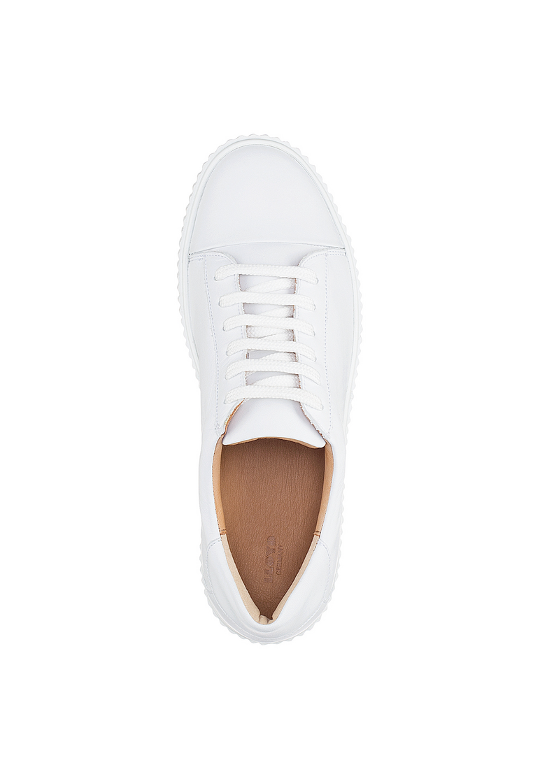 SNEAKER SNEAKER