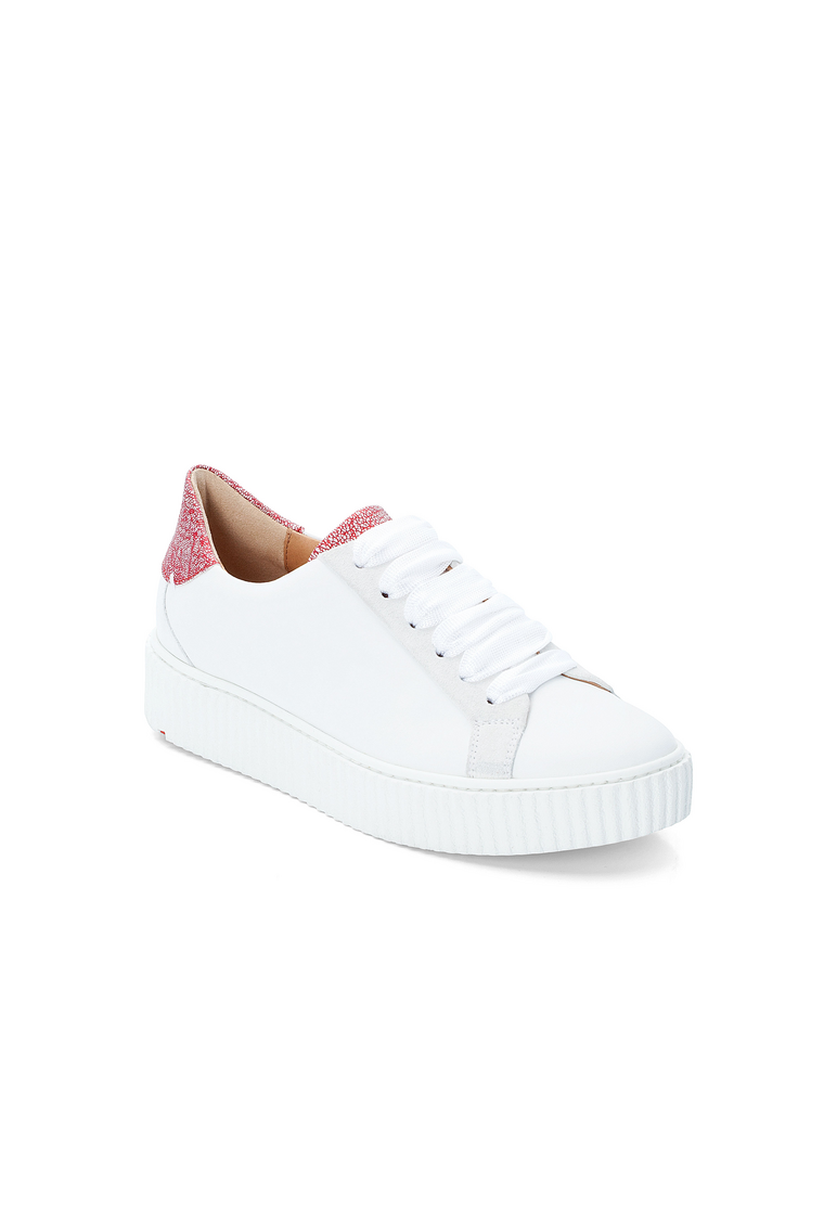 SNEAKER SNEAKER