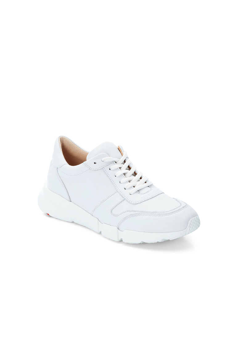 SNEAKER SNEAKER