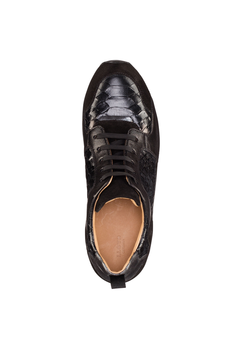 SNEAKER SNEAKER