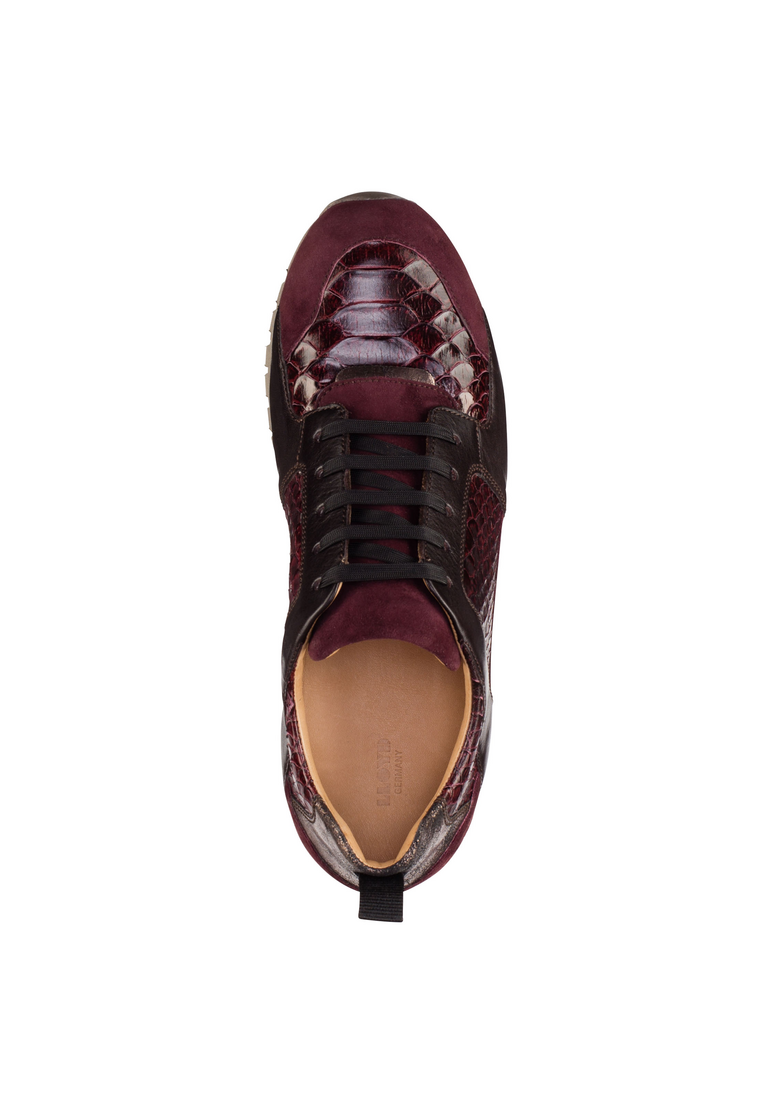 SNEAKER SNEAKER