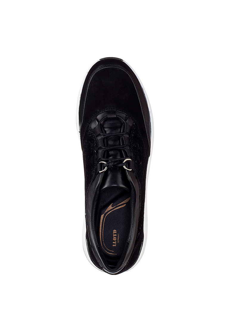 SNEAKER SNEAKER