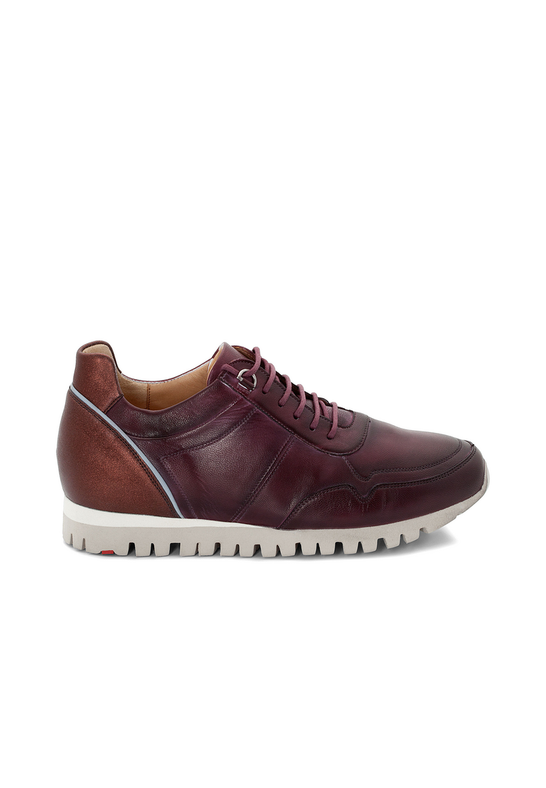SNEAKER SNEAKER