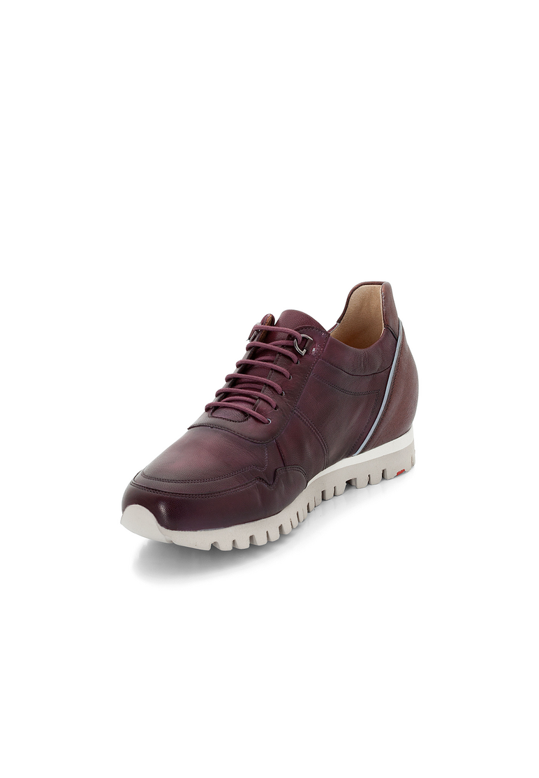 SNEAKER SNEAKER
