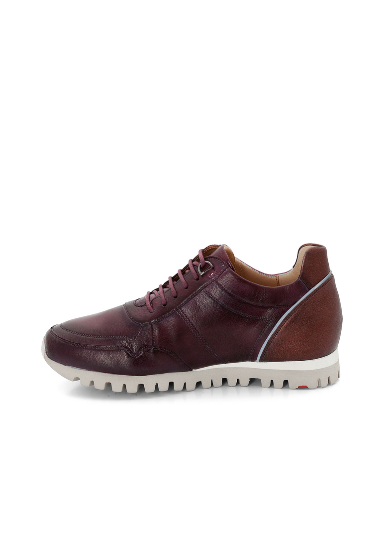 SNEAKER SNEAKER
