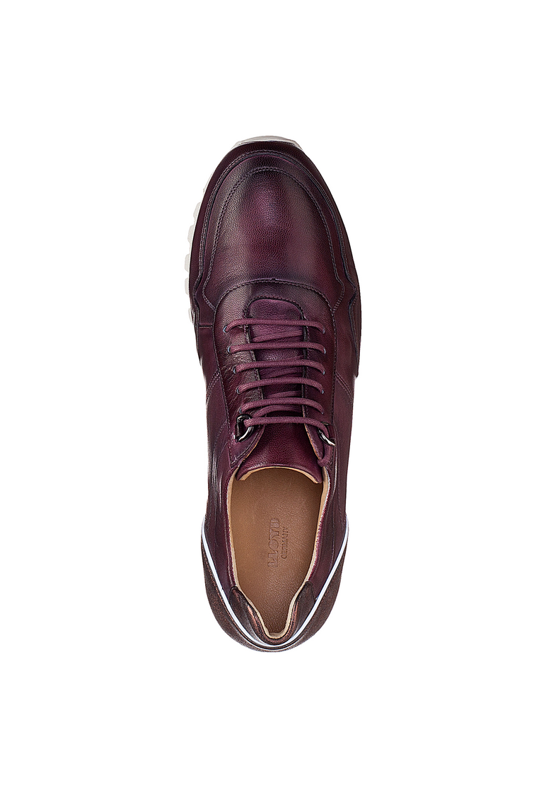 SNEAKER SNEAKER