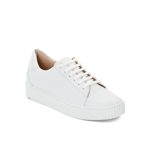 SNEAKER SNEAKER