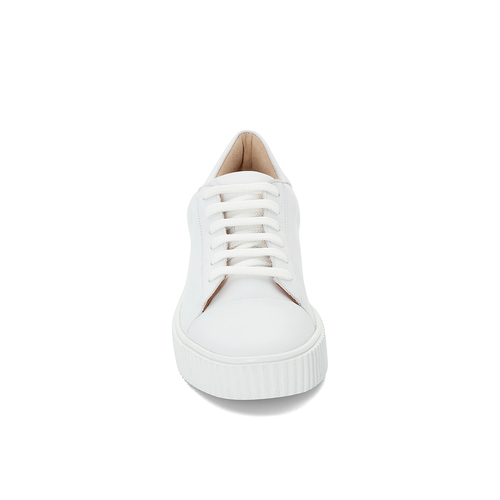 SNEAKER SNEAKER