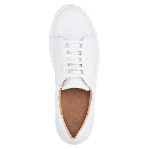 SNEAKER SNEAKER