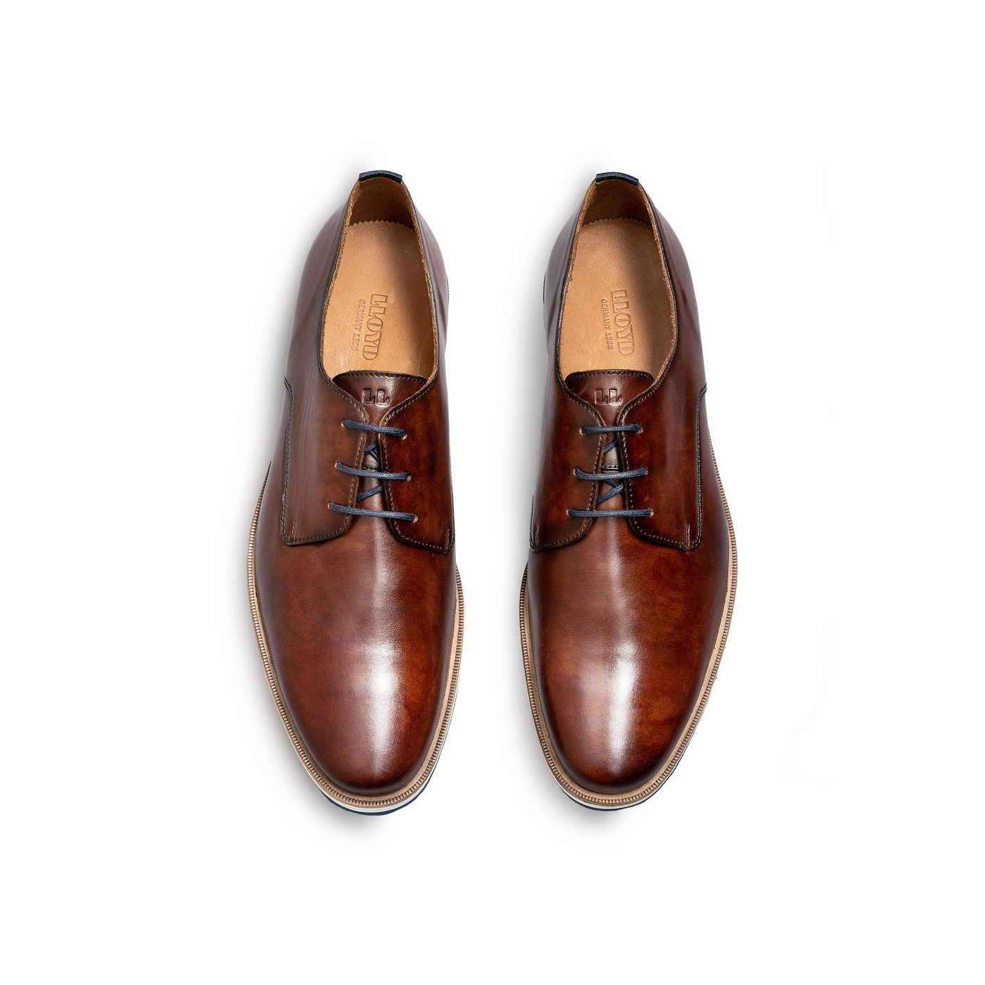 LLOYD 'DAKIN' d'affaires Derby | Chaussure à lacets; Largeur normale; Marron in 42
