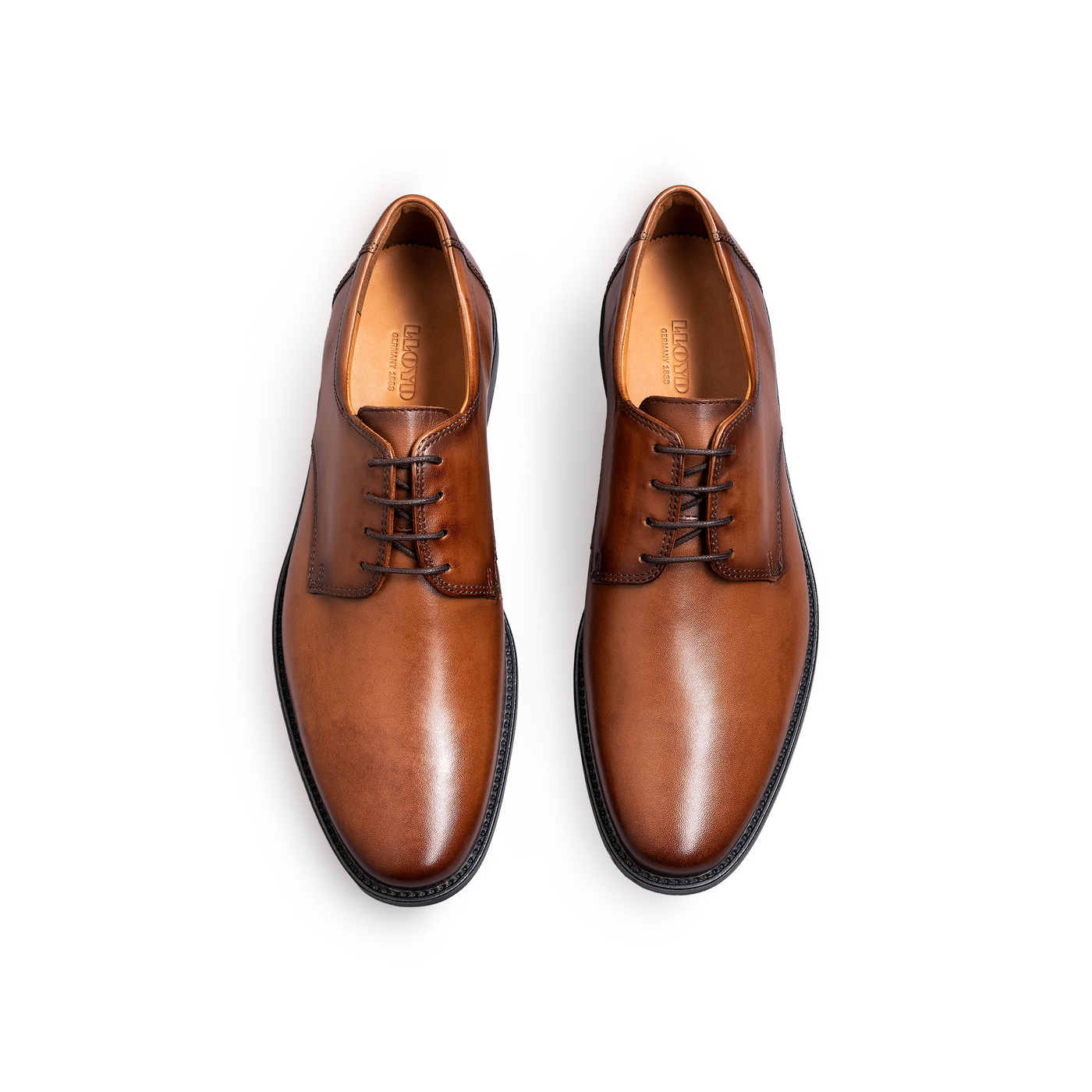 LLOYD 'NEVIO' d'affaires Derby | Chaussure à lacets; Largeur normale; Marron in 42.5