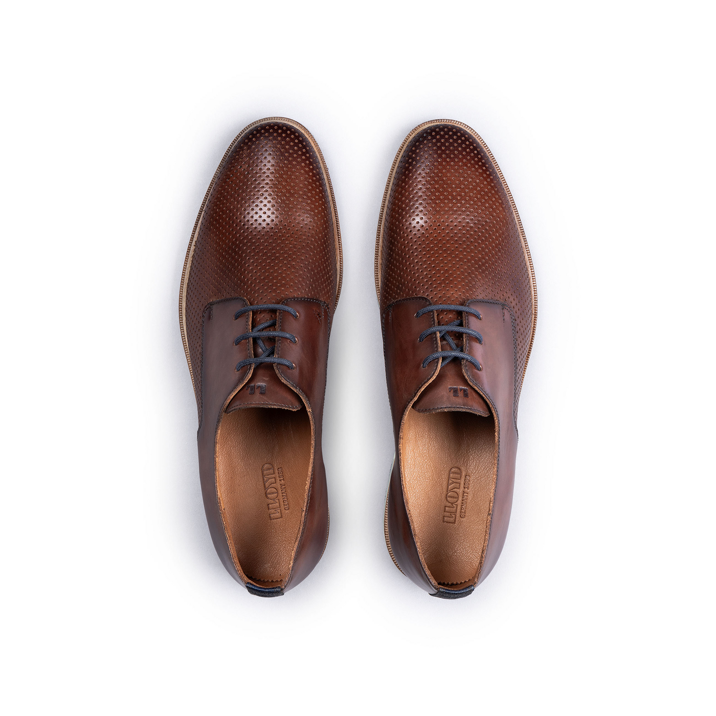 LLOYD 'DEMOND' basses Derby | Chaussure à lacets; Largeur normale; Marron in 41