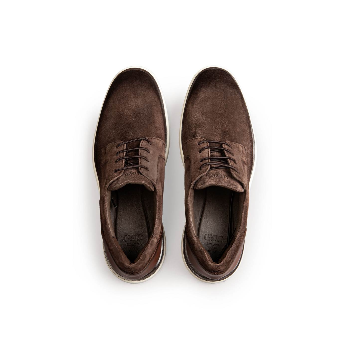 LLOYD 'SABLE 113' d'affaires Derby | Chaussure à lacets; Largeur normale (Variofootbed, FS2026; Marron in 44