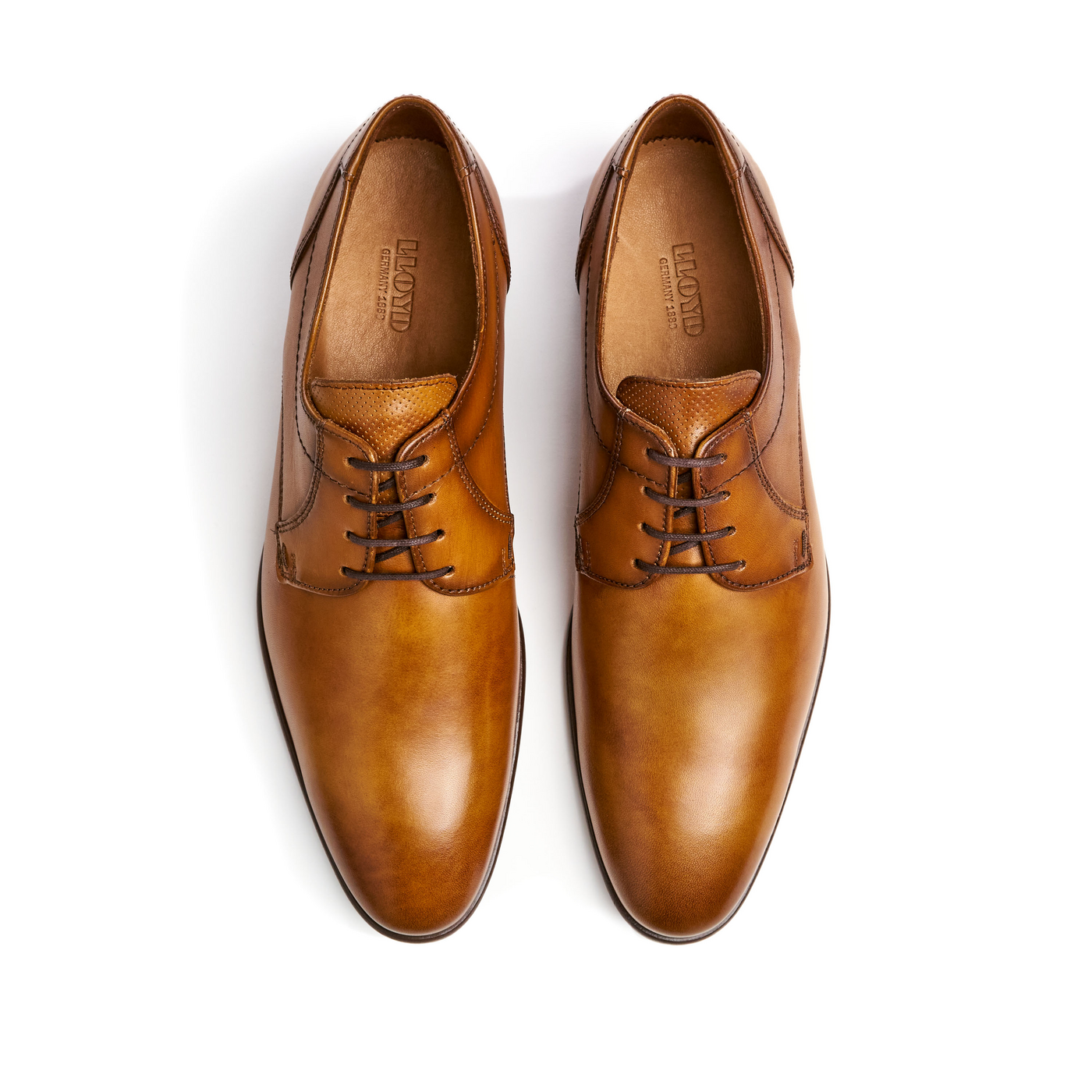 LLOYD 'MANON' d'affaires Chaussure à lacets; Largeur normale (Plus sizes available; Veau; Marron in 41