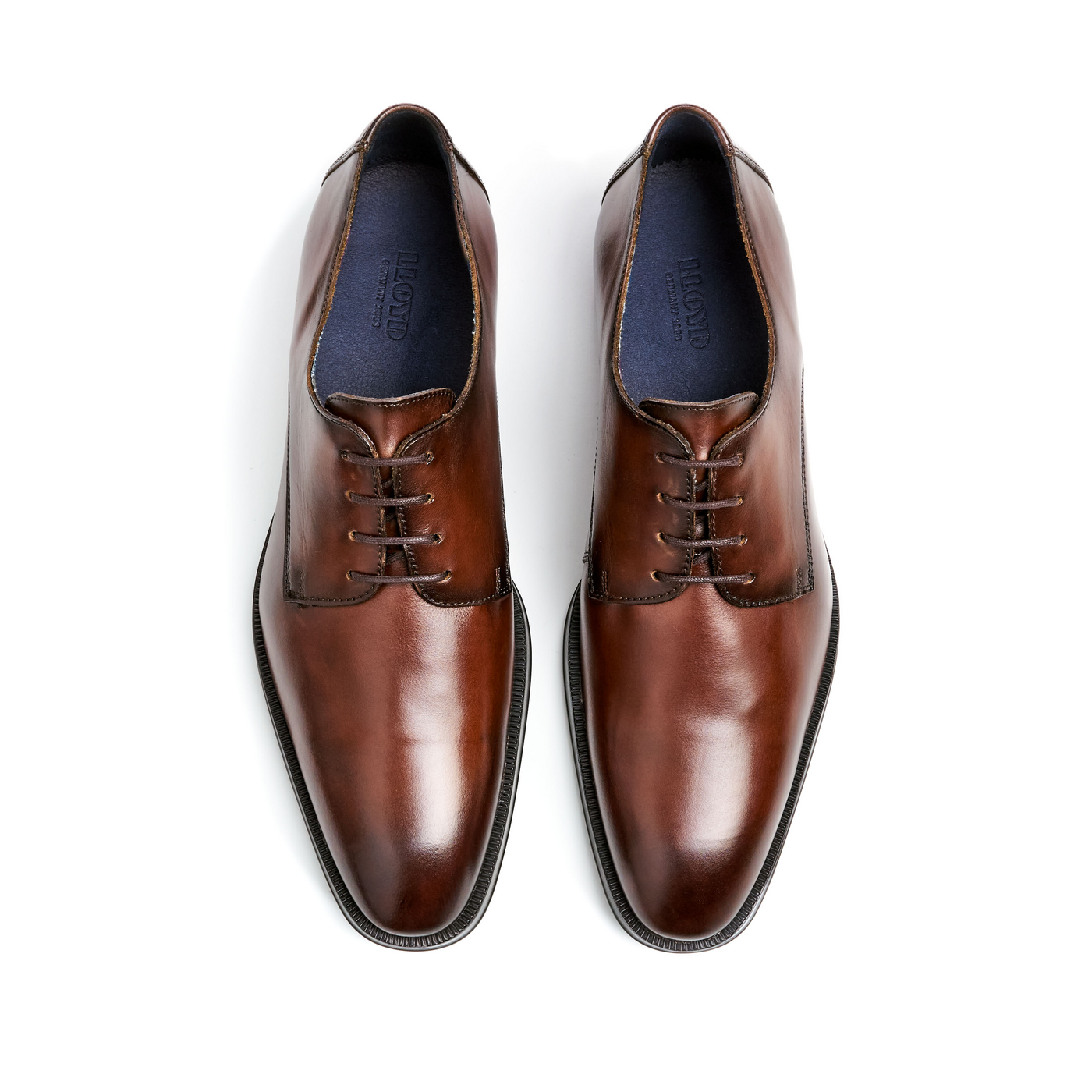 LLOYD 'GIDEON' d'affaires Derby | Chaussure à lacets; Largeur normale; Marron in 40.5