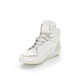 SNEAKER SNEAKER