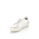 SNEAKER SNEAKER