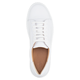 SNEAKER SNEAKER